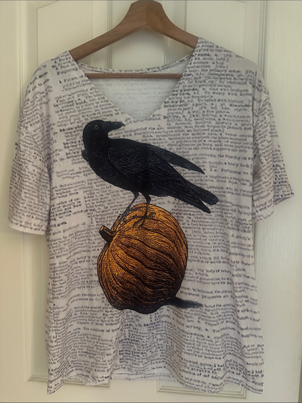 Black Raven & Orange Pumpkin Graphic  Edgar Allen Poe Raven  - Unbranded